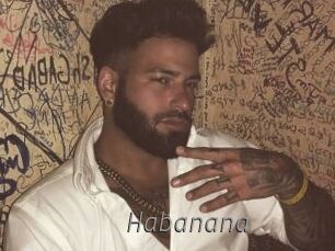 Habanana