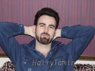HairyTamin