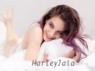HarleyJaia