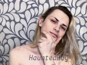 HauntedDog
