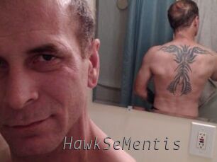 HawkSeMentis Livestrip Cams