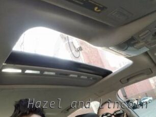 Hazel_and_Lincoln