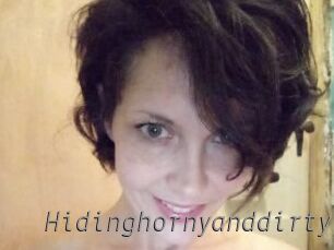 Hidinghornyanddirty Livestrip Cams