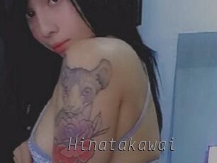 Hinatakawai Livestrip Cams