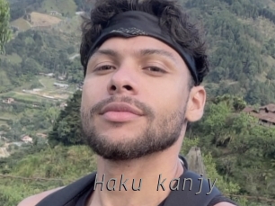 haku_kanjy Livestrip Cams