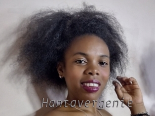 hantavergenie Livestrip Cams