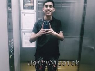 Harrybigdick