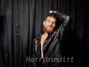 Harrybsmdirt