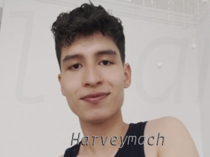 harveymach Livestrip Cams