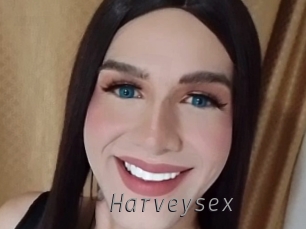 harveysex Livestrip Cams