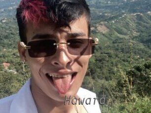 haward Livestrip Cams