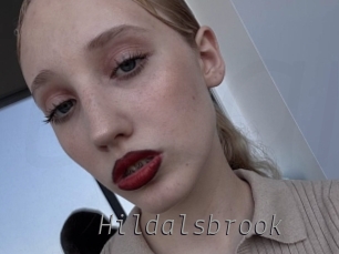 hildalsbrook Livestrip Cams