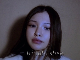 Hildbisbee