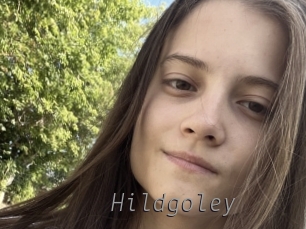 hildgoley Livestrip Cams