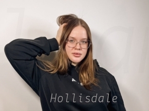 hollisdale Livestrip Cams