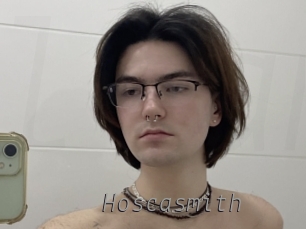 Hoscasmith