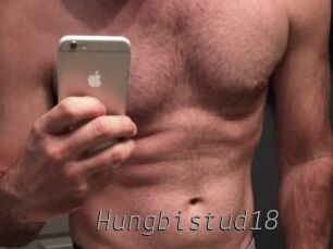 Hungbistud18