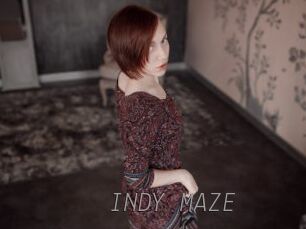 INDY_MAZE