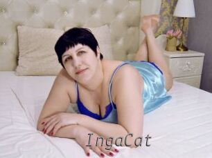 IngaCat Livestrip Cams