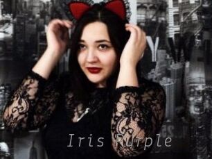Iris_Purple