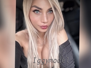 Iggymodel
