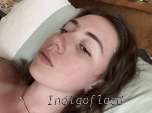 indigoflood Livestrip Cams