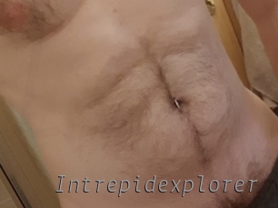 Intrepidexplorer