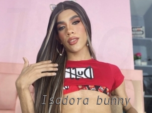 Isadora_bunny