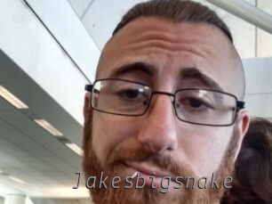 Jakesbigsnake