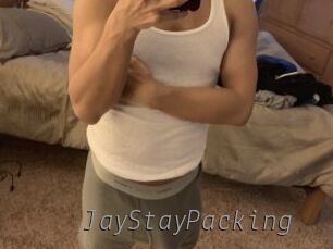 JayStayPacking Livestrip Cams