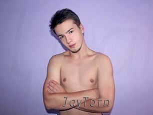 JayTorn Livestrip Cams