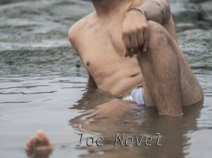 Joe_Novel