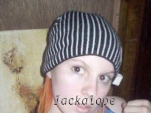 jackalope Livestrip Cams