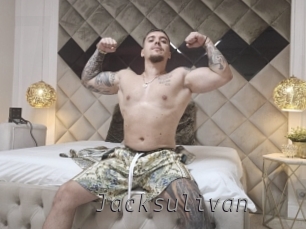 jacksulivan Livestrip Cams