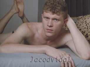 jacodvidal Livestrip Cams