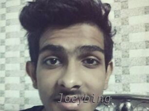 Joeybing