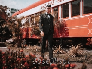Josephsol