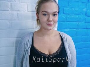 KaliSpark