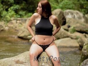KatyPond Livestrip Cams