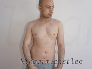 Kingofmycastlee