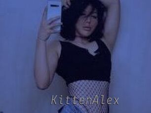 KittenAlex