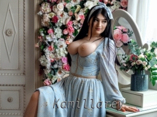 kamillarey Livestrip Cams