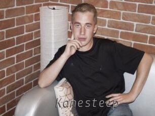 Kanesteep
