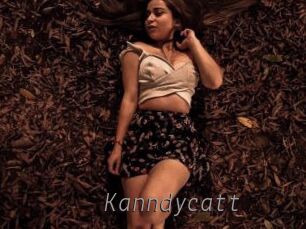 Kanndycatt
