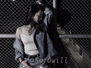 karawill Livestrip Cams