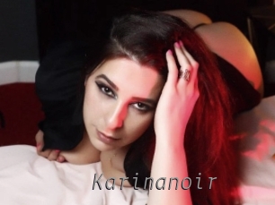 Karinanoir