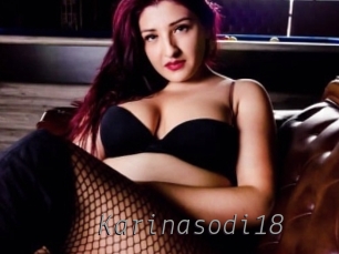 Karinasodi18