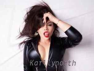 Karllynorth