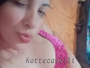 kattecavalli Livestrip Cams