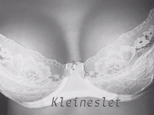 Kleineslet
